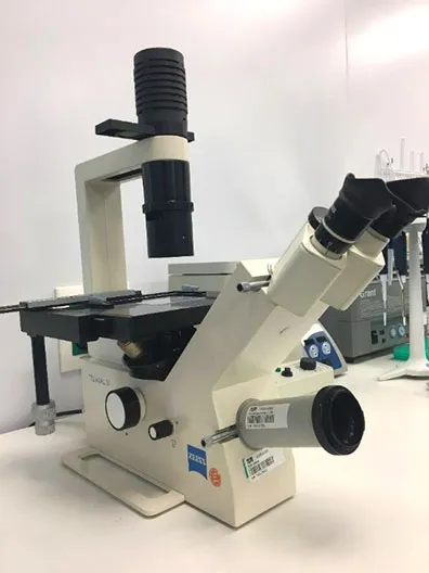 Optical-microscope-Zeiss-TELAVAL-31.jpg
