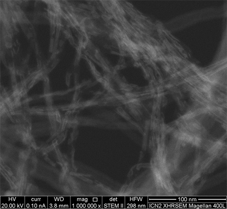 NANOTUBES FILLING IMAGING BY SEM