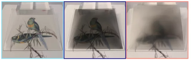 Smart Windows from the Nanosfun Group