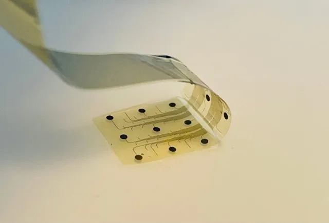 BCI_INBRAIN.jpg