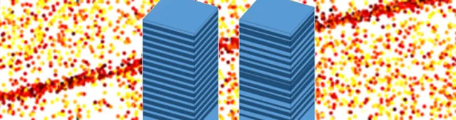 20190208_GARCIA_disorder.jpg