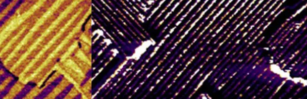 Ferroic_Barcelona_Gustau-Catalan_sml.jpg