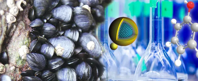 mussels-inside.jpg