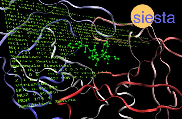 siesta-image.jpg